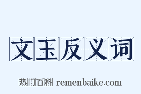 文玉反义词是什么意思的图片